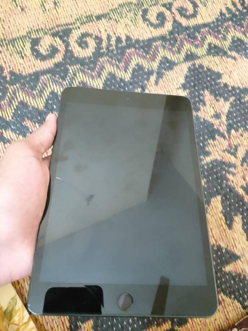 Ipad mini 5 0