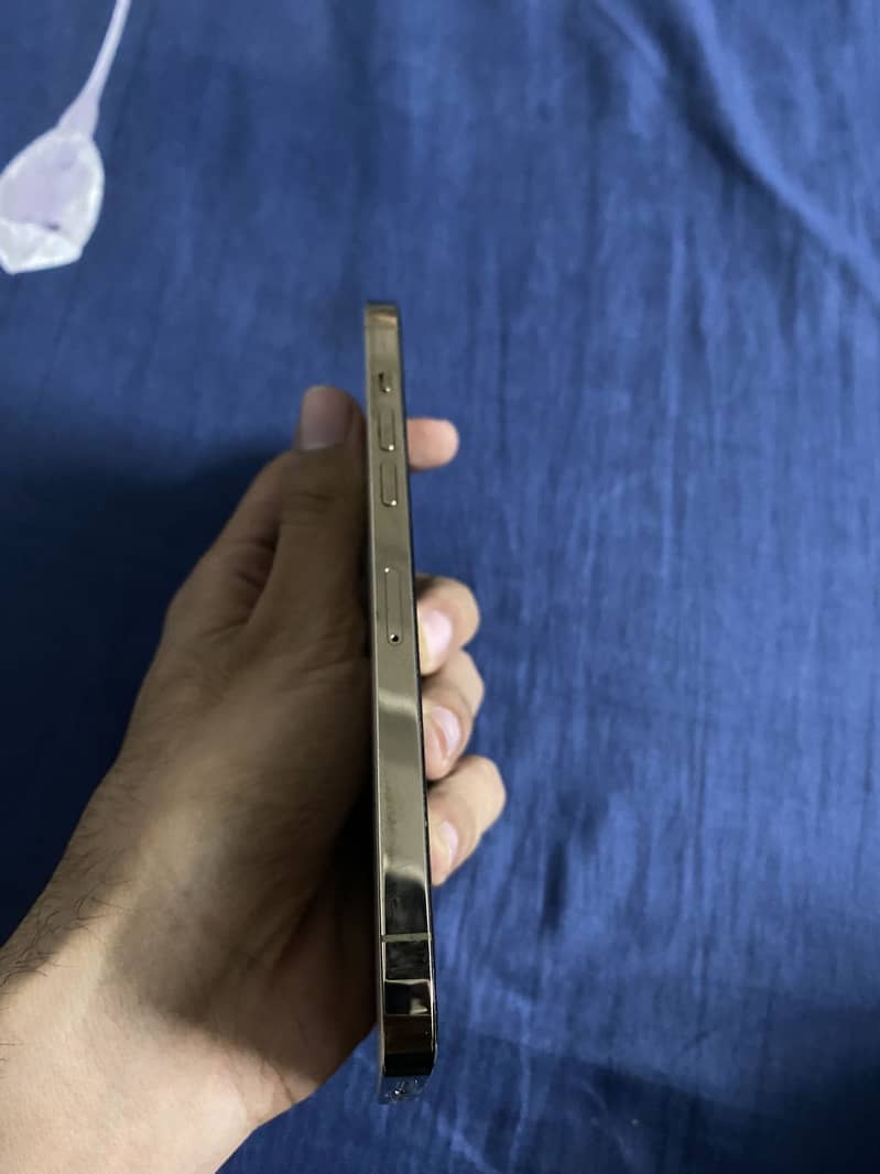 Apple iPhone 12 Pro Max 1