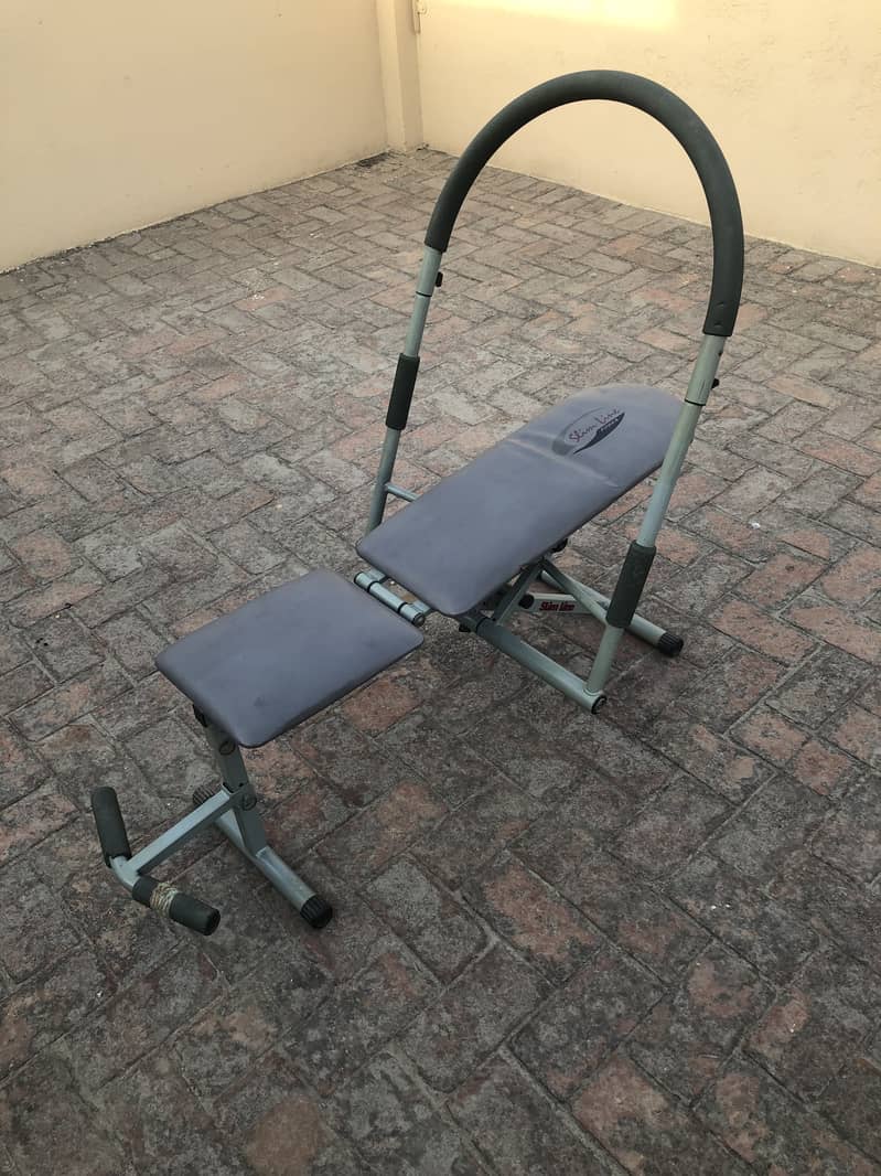 AB King Pro Exerciser 1