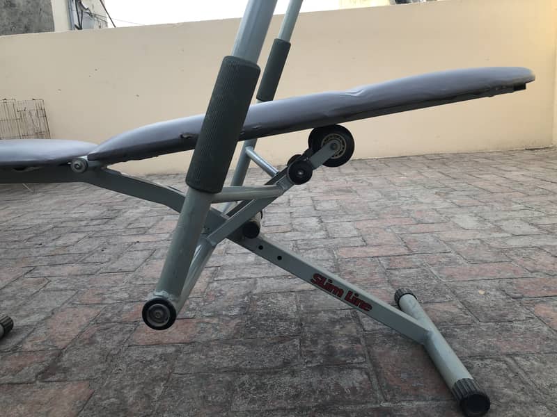 AB King Pro Exerciser 8