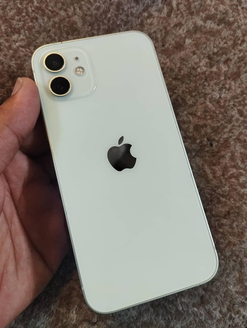 Apple iPhone 12 1
