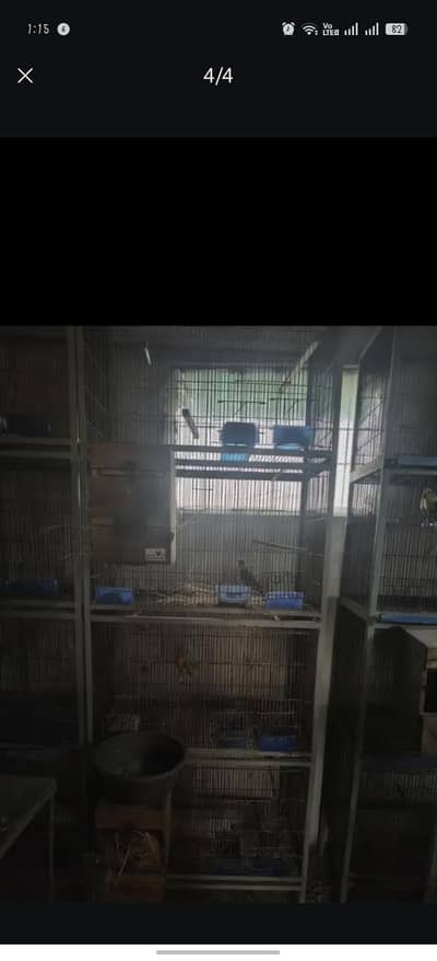 tower cage