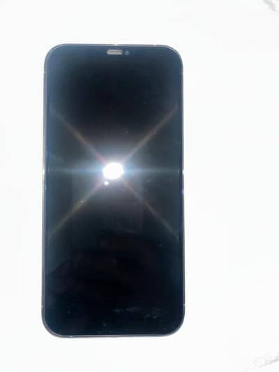 Apple iPhone 12 Pro Max