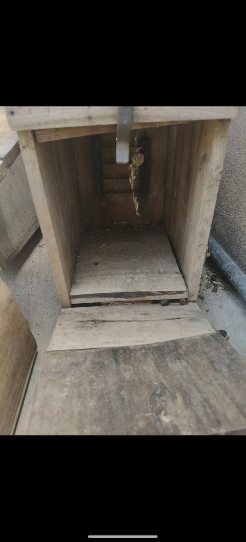 tower cage 6