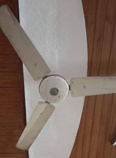 GFC fan, 56inch, Copper winding, non inverter