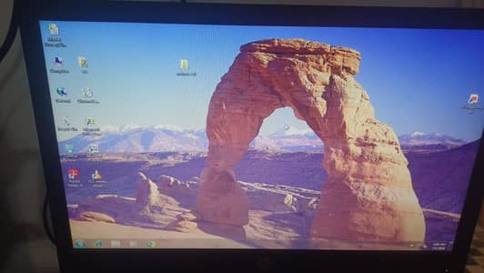 HP P19b G4 WXGA monitor