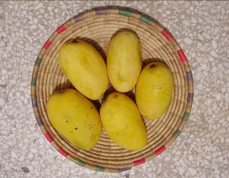 mangos 1