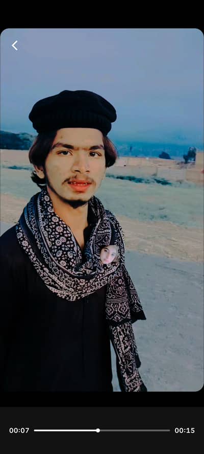 aseel murgha