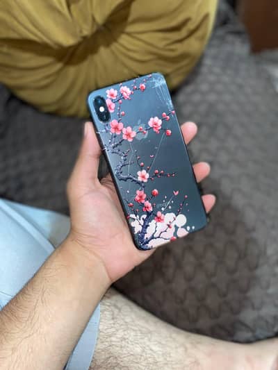 Apple iPhone XS Max price fix