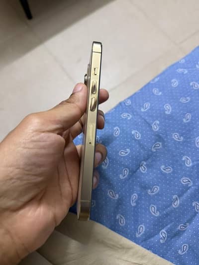 Apple iPhone 13 Pro Official PTA