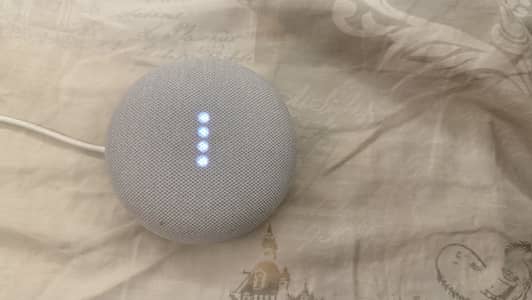 Google nest mini 2 (latest model)