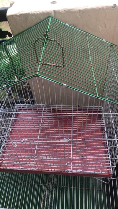 Steel cage for parrots and pigeons