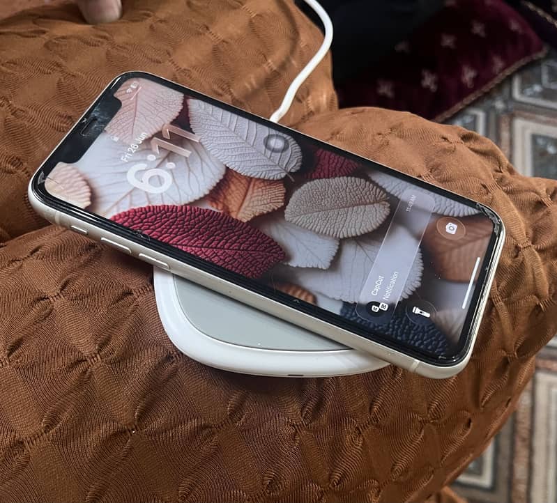 Apple iPhone 11 0