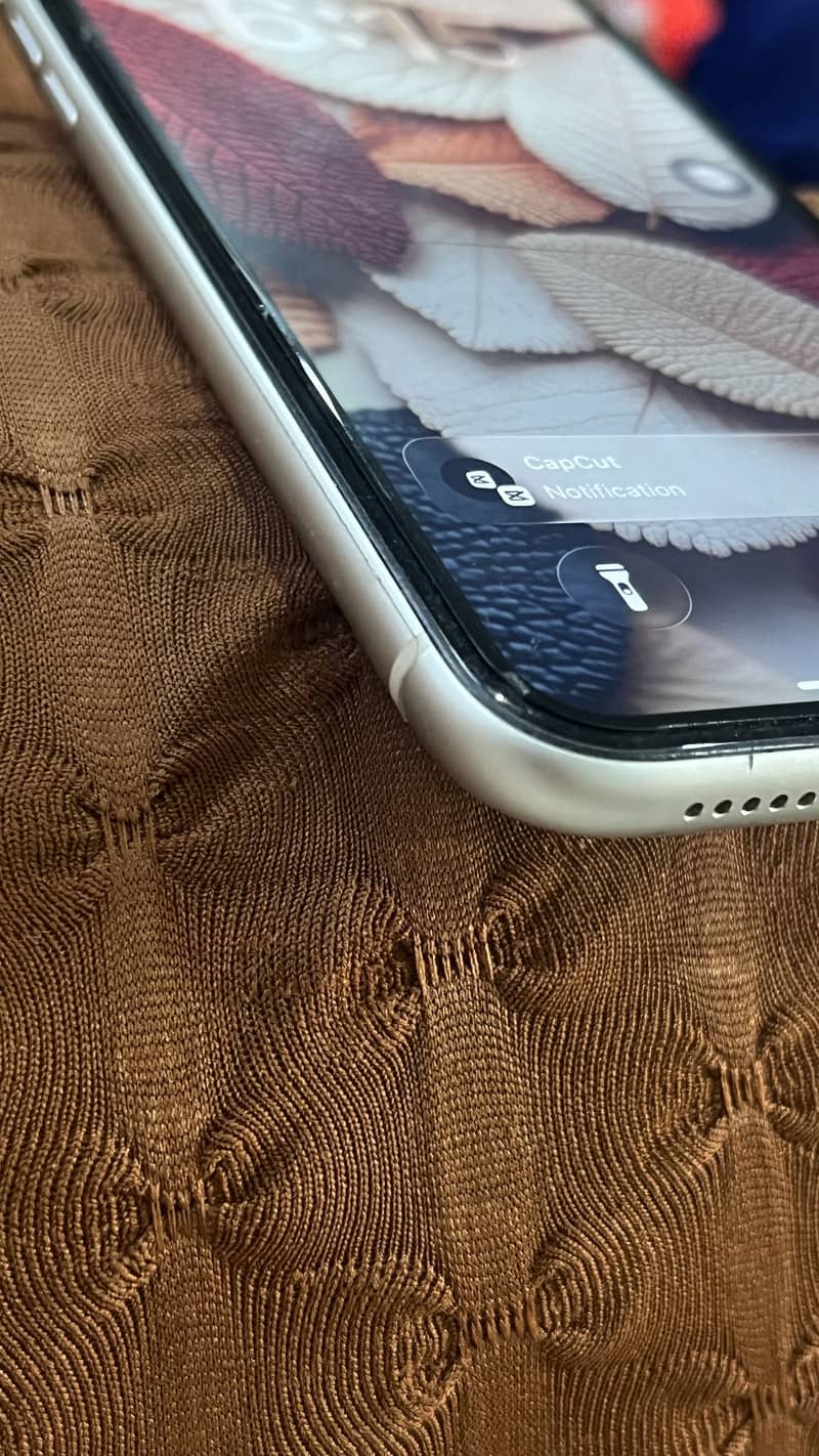 Apple iPhone 11 4