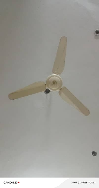 Ceiling Fans for sale