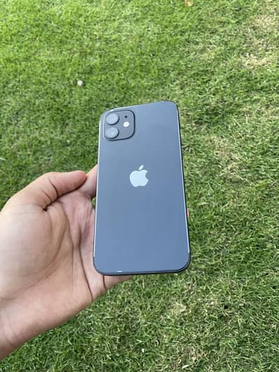 Apple iPhone 12