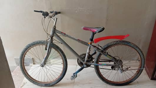 Cycle