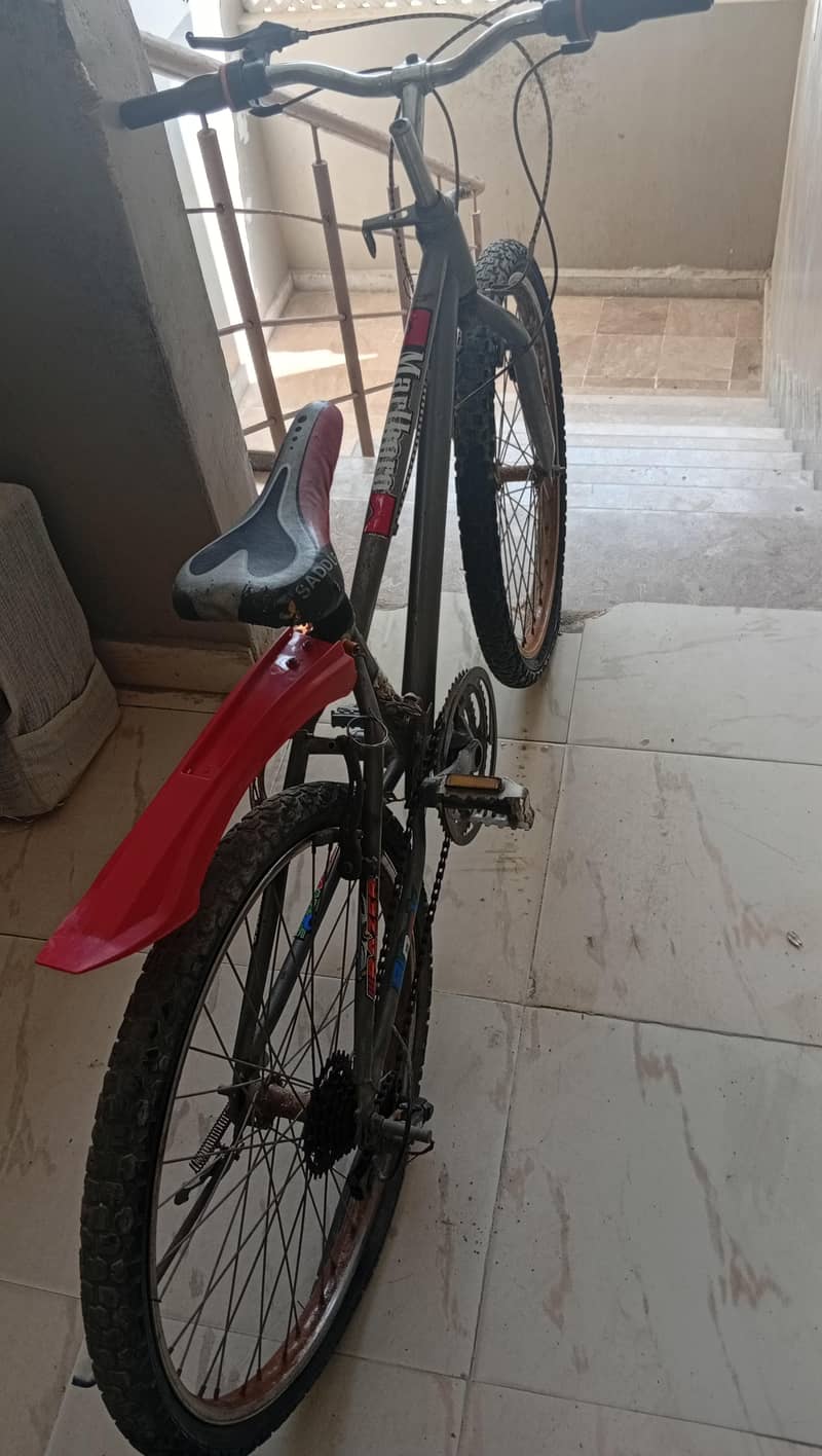 Cycle 4