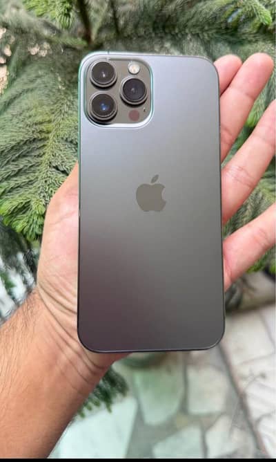 Apple iPhone 13 Pro Max