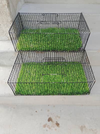 Carry Cages (Phatki)