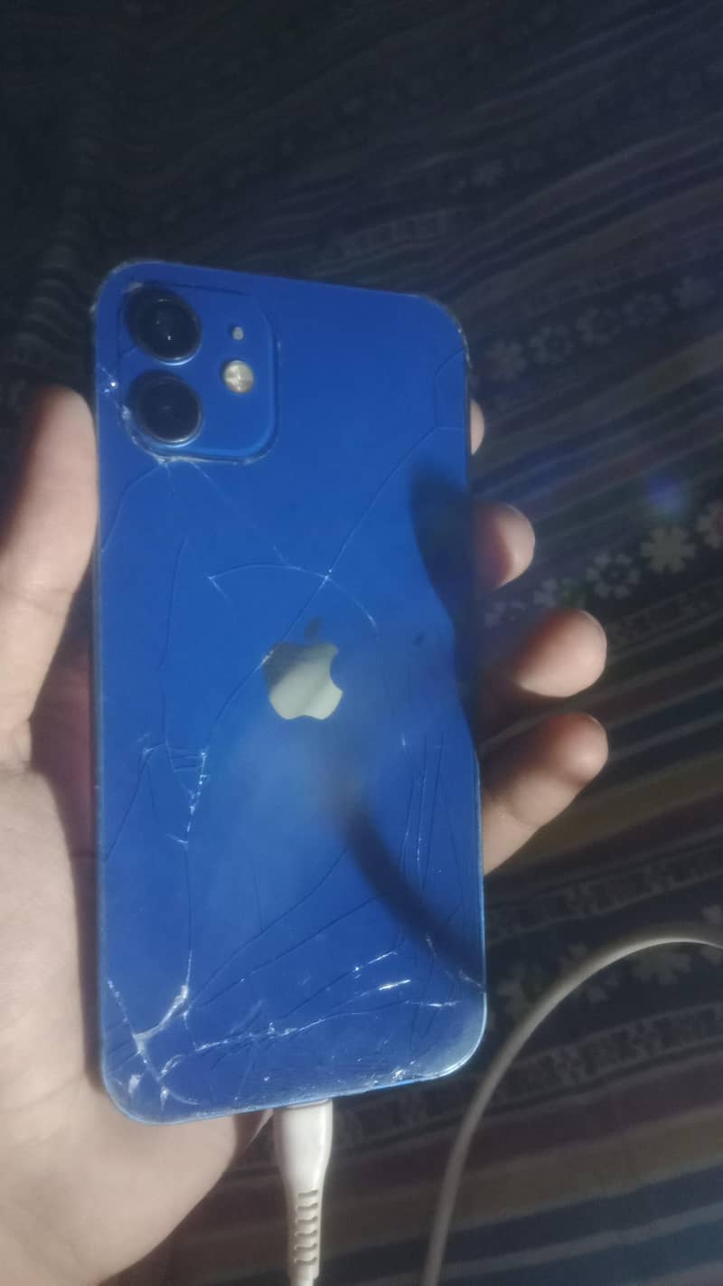 Apple iPhone 12 1