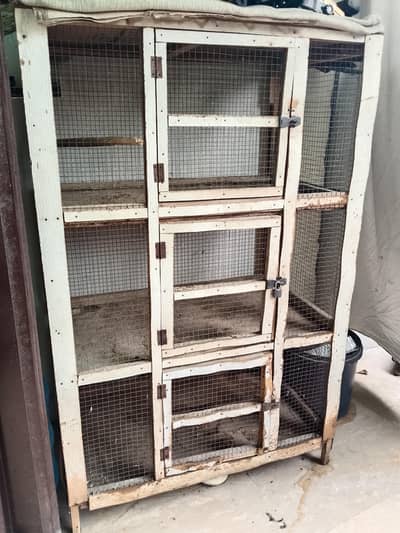 Birds cage sale