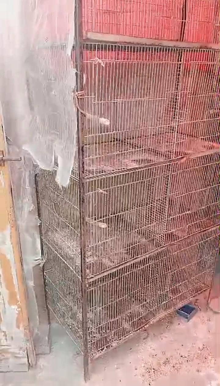 04 portion cage 1