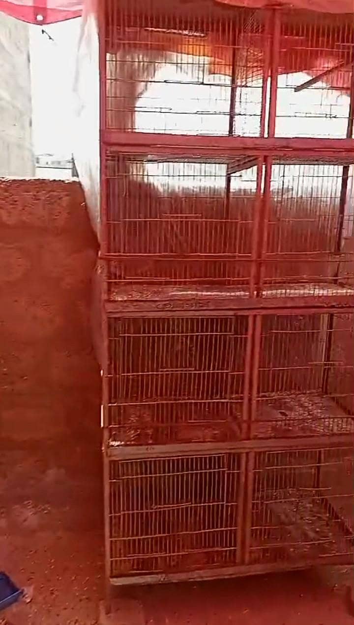 04 portion cage 2