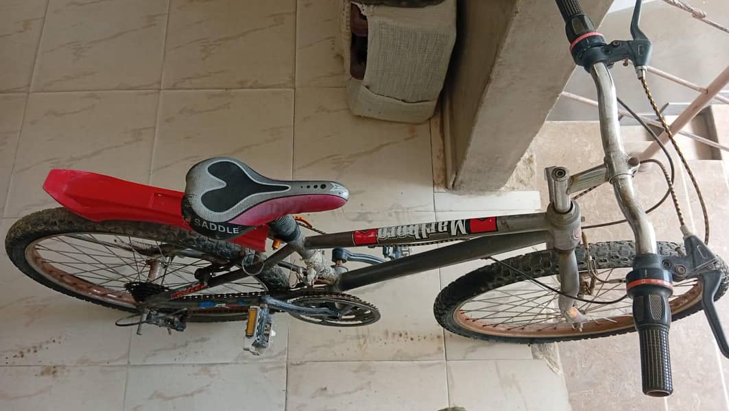 Cycle 1