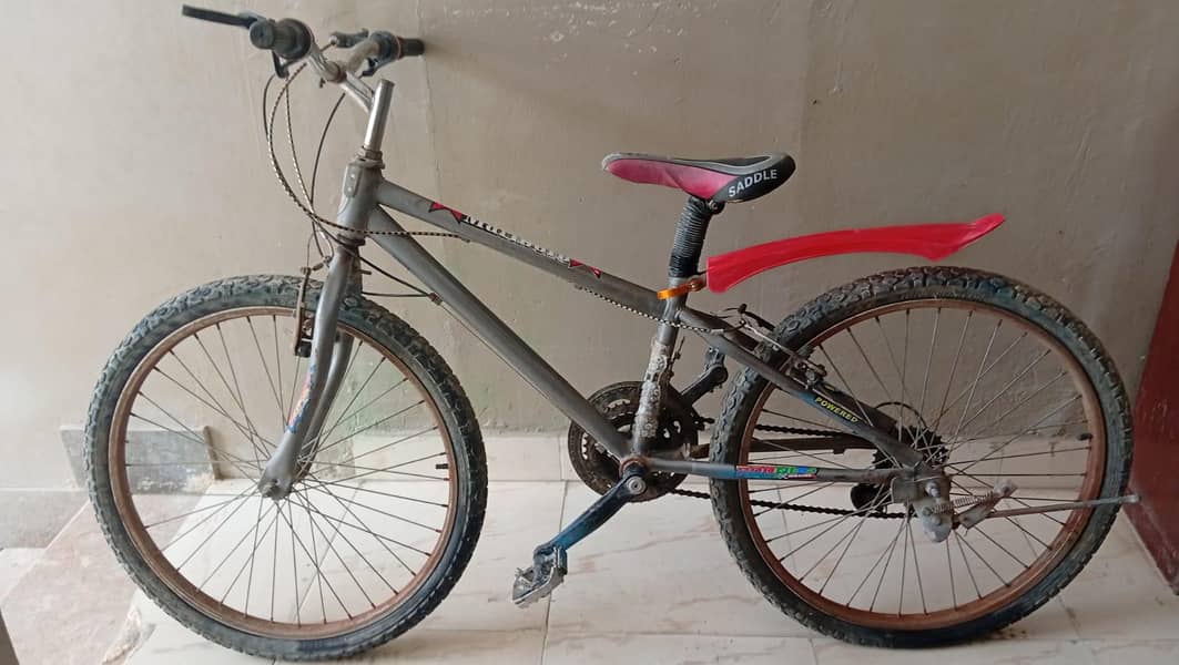 Cycle 4