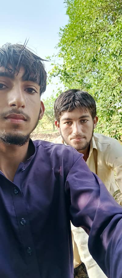 Job need in Sargodha