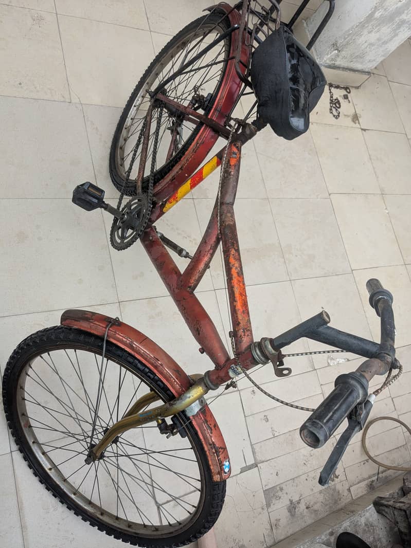 Cycle 1