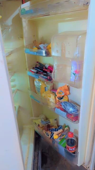 large size fridge