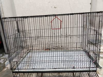 Bird Cadged  for sale