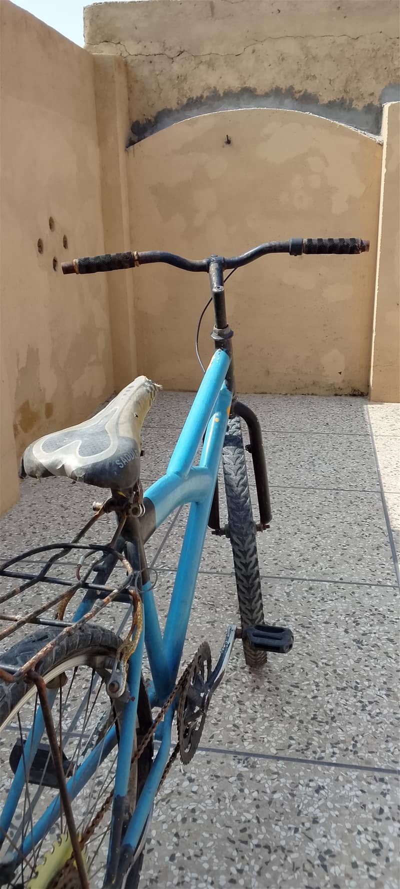 bicycle 2