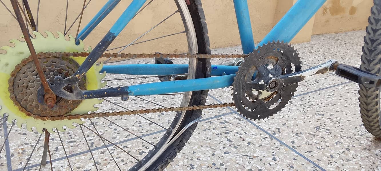 bicycle 5