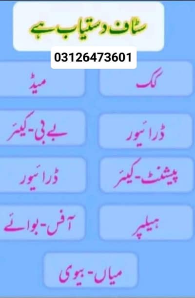 we provide you Maid. babysitter. patient care. helper