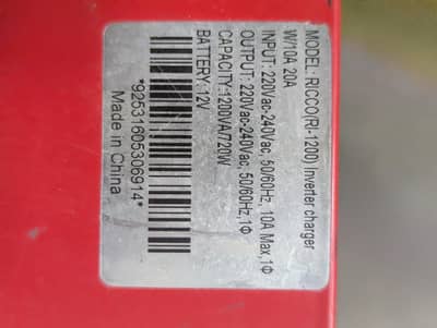UPS 1200 Watt 12-V Ricco