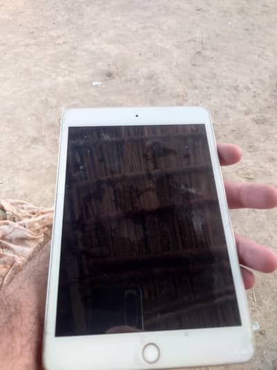 ipad mini 5 256gb
