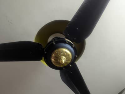 sk fan