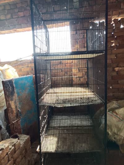birds cage