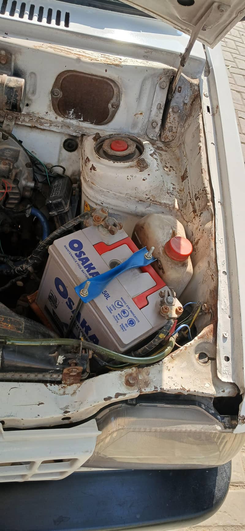 suzuki 8