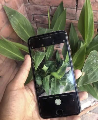 Apple iPhone 8 Plus
