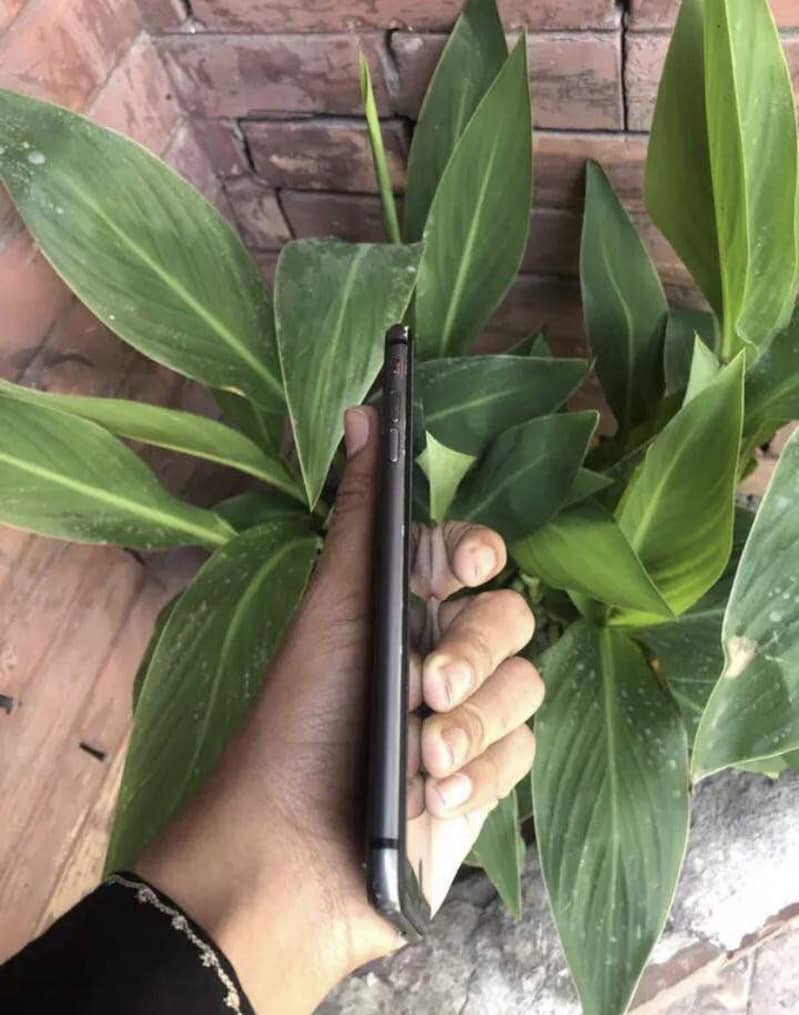 Apple iPhone 8 Plus 3