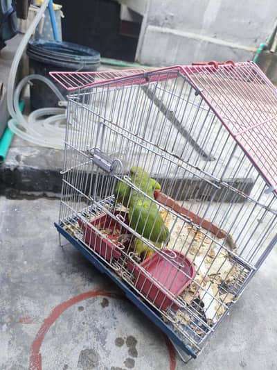 for sale