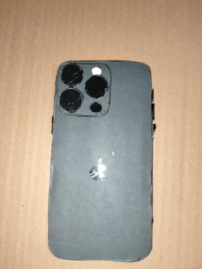 Apple iPhone 14 Pro Max cardboard