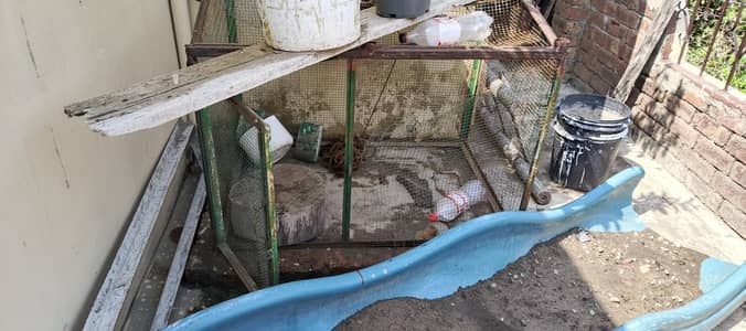 cage sale