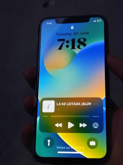 Apple iPhone X