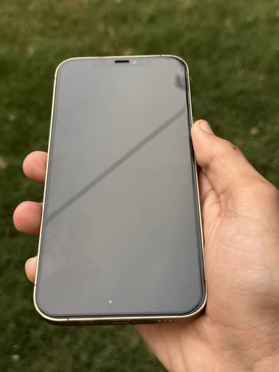 Apple iPhone 12 Pro Max