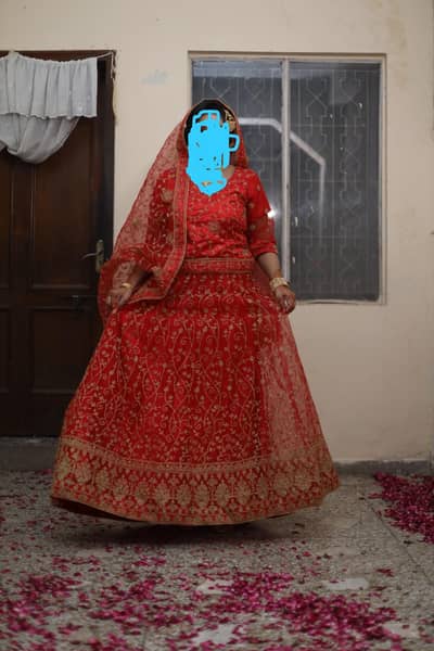 bridal lehanga and shirwani
